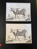 Ets 17e eeuw in twee staten!, Antiek en Kunst, Ophalen