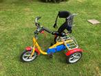 Husky Van Raam driewieler kinderfiets, Fietsen en Brommers, Ophalen, Gebruikt, Verstelbare zitting