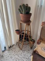 Rotan Plantentafel in zeer goede staat. Met gebobbeld glas, Ophalen of Verzenden, Minder dan 100 cm, In pot, Cactus