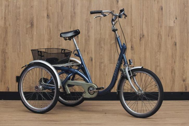 Van Raam Maxi, Fietsen en Brommers, Fietsen | Driewielfietsen, Gebruikt, Ophalen