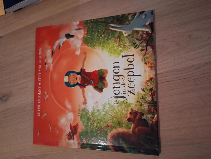 Eyckmans Valerie - De jongen in de zeepbel, Boeken, Prentenboeken en Plaatjesalbums, Zo goed als nieuw, Ophalen of Verzenden