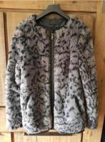 Fluffy dames jack, dierenprint mt.S van Costes, Kleding | Dames, Jassen | Winter, Gedragen, Grijs, Costes, Ophalen of Verzenden