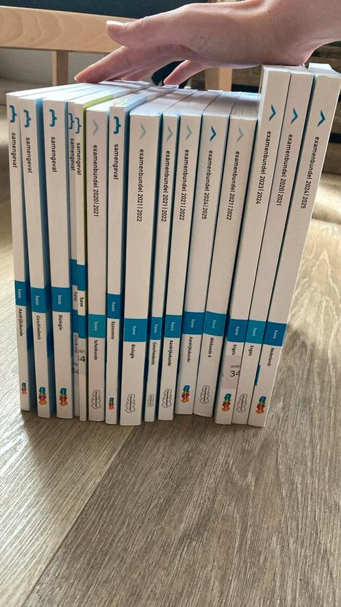 Examenbundels en samengevat havo, Boeken, Schoolboeken, Zo goed als nieuw, Ophalen of Verzenden