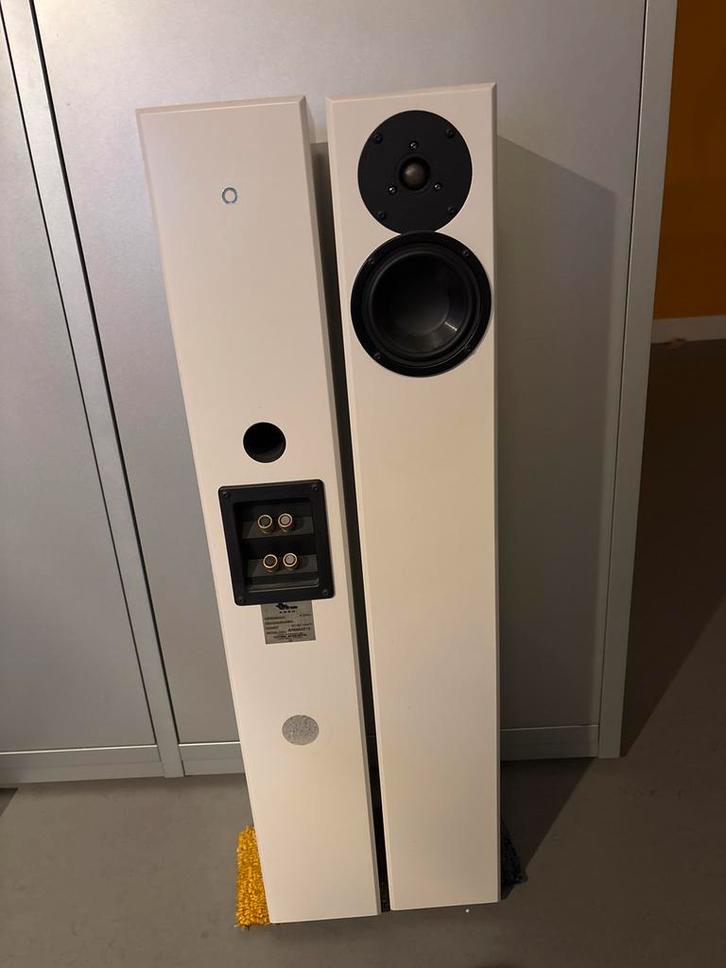 Totem Acoustic Arro Speakers - Audiophile Kwaliteit, Audio, Tv en Foto, Luidsprekers, Gebruikt, Front, Rear of Stereo speakers