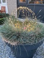 Twinkle Lighted ball (lichtbollen met twinkelende lichtjes), Ophalen, Zo goed als nieuw
