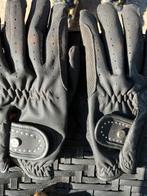Paardrijhandschoenen Maat S - Nieuw!, Ophalen of Verzenden, Nieuw, Dames, Bovenkleding