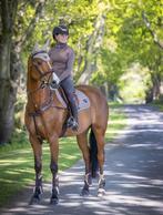 LeMieux Loire Mink Spring CC dekje GRATIS VERZENDING, Ophalen of Verzenden, Nieuw, Dekje
