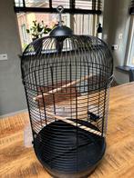 Vogel Kooi Zwarte, Ophalen, Zo goed als nieuw, Vogelkooi