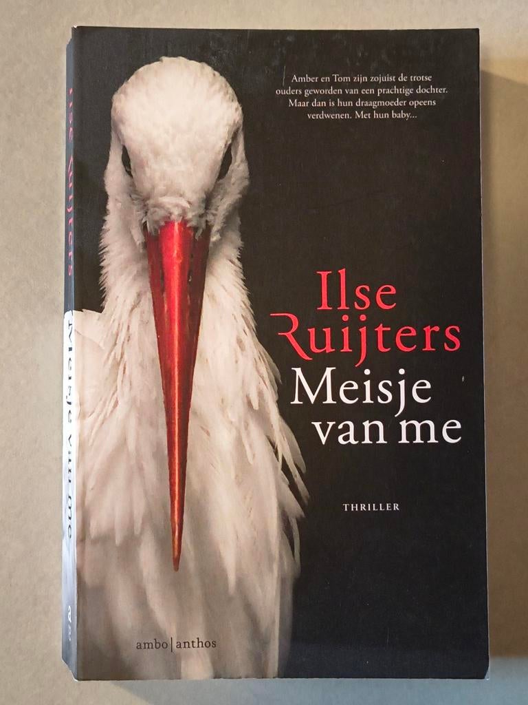 Meisje van me - Ilse Ruijters, Thriller, Ophalen of Verzenden, Zo goed als nieuw, Ilse Ruijters, Nederland