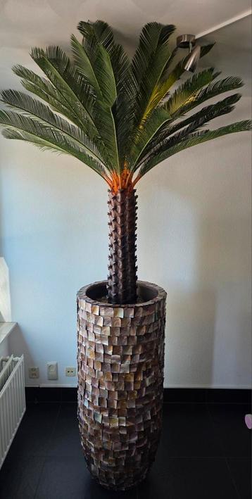 NIEUW GROTE SCHELPENVAAS 120CM & KUNST PALMBOOM ERIC KUSTER  beschikbaar voor biedingen