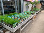Zuurstofplanten, waterlelies, oeverplanten en vijverplanten, Ophalen, Nieuw, Overige typen