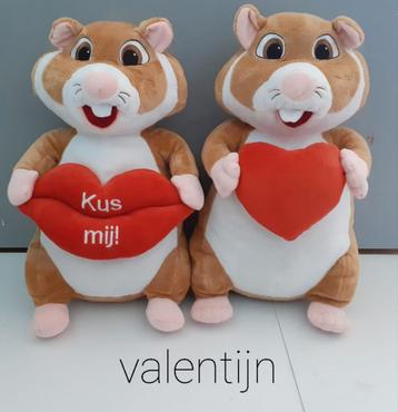 Diverse Hamsters van Albert Heijn  beschikbaar voor biedingen