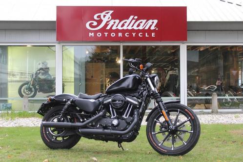 Harley-Davidson XL 883 Iron, Motoren, Motoren | Harley-Davidson, Bedrijf, Chopper, meer dan 35 kW