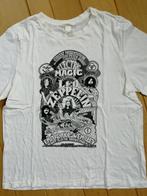 H&M t- shirt wit met LED ZEPPELIN print maat M - nieuw -, Kleding | Dames, T-shirts, Maat 38/40 (M), H&M, Wit, Nieuw