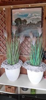 2 Grote Potten met Pampas Gras en Krans, Ophalen