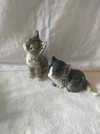 Twee schattige Goebel katten, poezen, kittens €10.- per stuk, Ophalen of Verzenden, Zo goed als nieuw, Dier