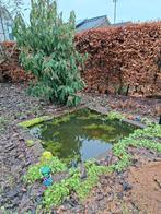 Vijver bak voor tuin of terras, Tuin en Terras, Ophalen, Gebruikt, Minder dan 80 cm, Overige typen