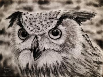 Schilderij uil  beschikbaar voor biedingen