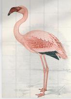 IXXI - Lesser Flamingo - 80 x 120 cm, Nieuw, Ophalen of Verzenden