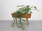 Vintage plantenbak | Teak | Rotan, Ophalen, Gebruikt, Minder dan 30 cm, .