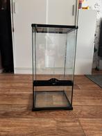 Exo terra 30x30x60, Dieren en Toebehoren, Reptielen en Amfibieën | Toebehoren, Ophalen, Zo goed als nieuw, Terrarium of Paludarium