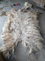 Wie wil/kan er wol spinnen voor mij?, Geslacht onbekend, Schaap