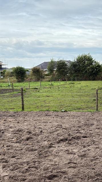 Aangeboden stalling beschikbaar voor biedingen
