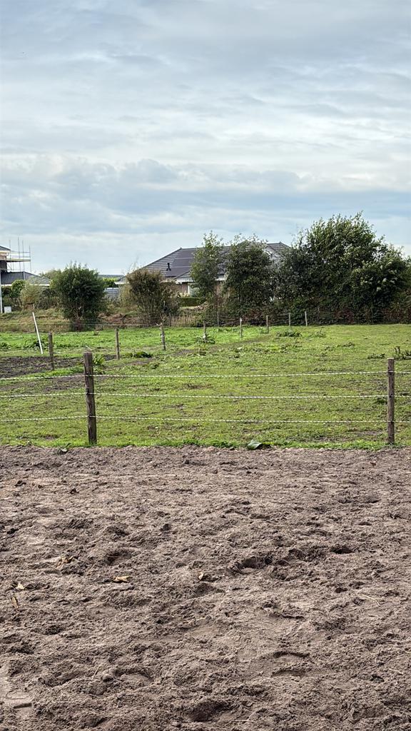 Aangeboden stalling, Dieren en Toebehoren, Stalling en Weidegang, Stalling