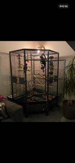 Keddoc papegaaienkooi 123x110x187, Dieren en Toebehoren, Ophalen, Zo goed als nieuw, Metaal, Vogelkooi