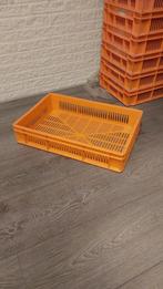 Stapelkratten Kunststof - 60x40x12cm - Circa 60 stuks, Doe-het-zelf en Verbouw, Kratten en Dozen, Ophalen of Verzenden, Krat, Minder dan 35 cm