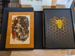 The Starless Sea+Artprint-E. Morningstern-Books Illustrated, Ophalen of Verzenden, Nieuw