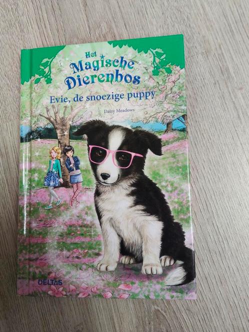 Daisy Meadows - Evie, de snoezige puppy, Boeken, Kinderboeken | Jeugd | onder 10 jaar, Zo goed als nieuw, Ophalen of Verzenden