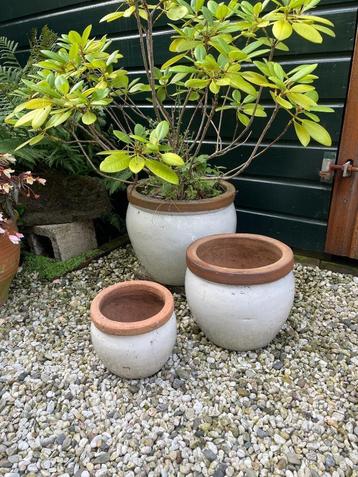 Set van 3 wit geglazuurde tuinpotten, 3 maten winterhard beschikbaar voor biedingen