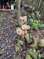 Blokken openhaardhout, Minder dan 3 m³, Ophalen, Overige houtsoorten, Blokken