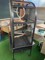 Papegaai kooi, Ophalen of Verzenden, Zo goed als nieuw, Metaal, Vogelkooi