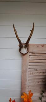 Ree gewei op schild, Ophalen of Verzenden, Gebruikt