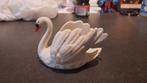 Mooie goebel zwaan, Ophalen of Verzenden