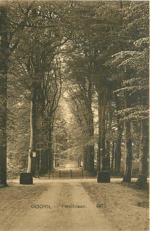 (388-017-047) Doorn Fleschlaan, Verzamelen, Ansichtkaarten | Nederland, Utrecht, Verzenden