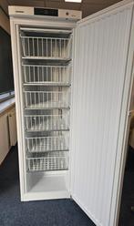 GG 4010 Liebherr professiole vrieskast, Ophalen, Zo goed als nieuw, 60 tot 90 cm, 160 cm of meer