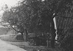 963427	Dodewaard	Wely Gld 1948	Groenestraat	met dijk	Mooie O, Verzamelen, Ansichtkaarten | Nederland, Ophalen of Verzenden, 1940 tot 1960