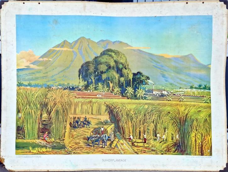 Suikerplantage / Prof. Ernst Vollbehr, Antiek en Kunst, Antiek | Schoolplaten, Ophalen