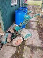 Tuinfrees Agria, Ophalen of Verzenden