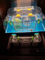 hamsterkooi, Dieren en Toebehoren, Knaagdieren en Konijnen | Hokken en Kooien, Kooi, Gebruikt, Minder dan 75 cm, Hamster