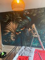 60 Plussers zijn de beste klussers! VLIES, RENO, FOTO BEHANG, Diensten en Vakmensen, Schilders en Behangers, Behangen