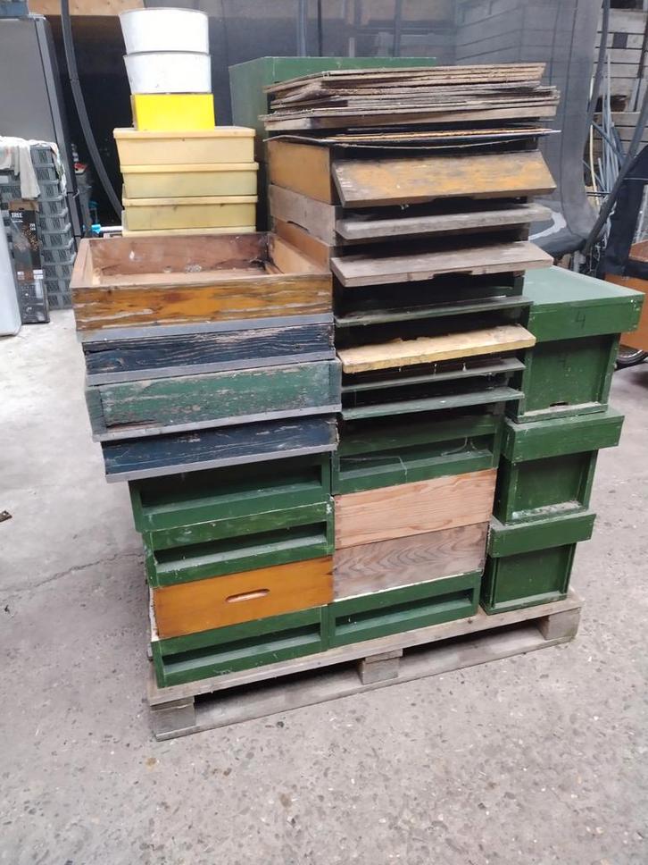 Bijenkasten en benodigdheden, Dieren en Toebehoren, Insecten en Spinnen, Bijen