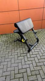 Technogym Scott Bench , Bicepsbankje, Ophalen, Gebruikt, Fitnessbank