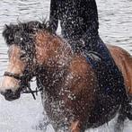 Ijslander ruin, Ruin