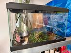 Bijna niet gebruikt aquarium met motor, Ophalen, Zo goed als nieuw, Leeg aquarium
