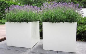 Set vierkante plantenbakken wit 70x70x70 beschikbaar voor biedingen