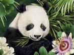 Diamond painting panda 50x40, Nieuw, Ophalen of Verzenden, Knutselwerk